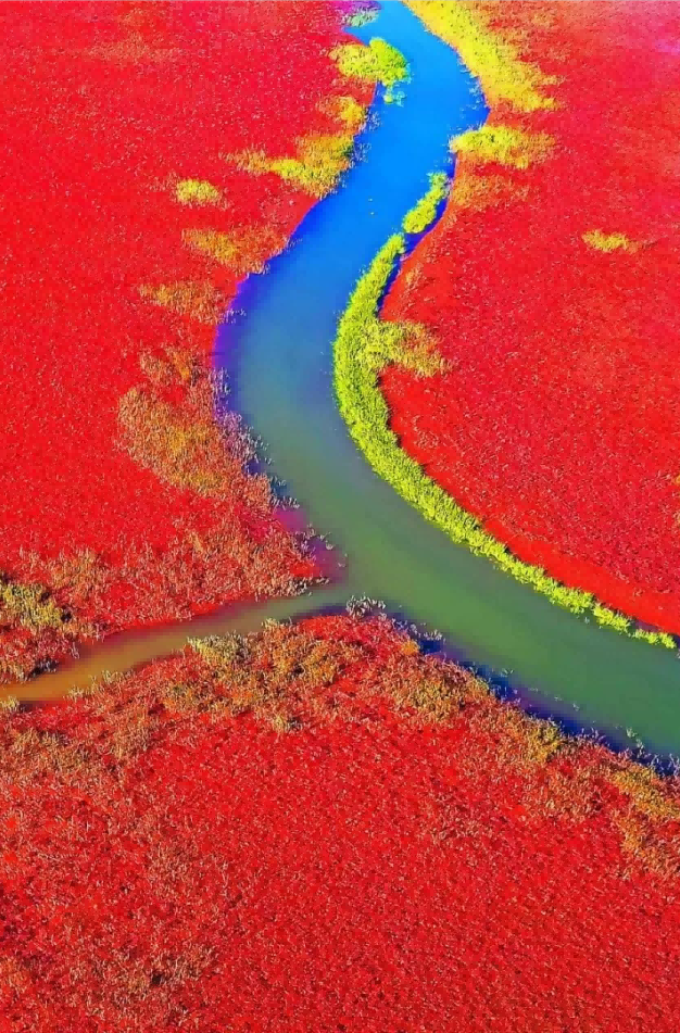 黄河入海流——大发彩票平台
镜头里的时代变迁故事