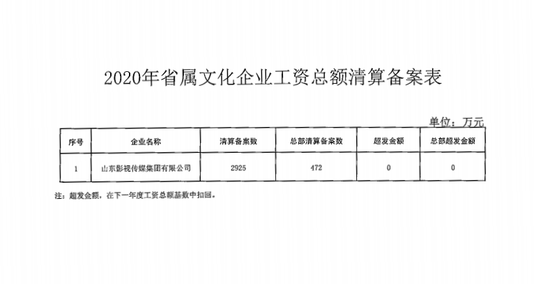 2020年省属文化企业工资总额清算备案表