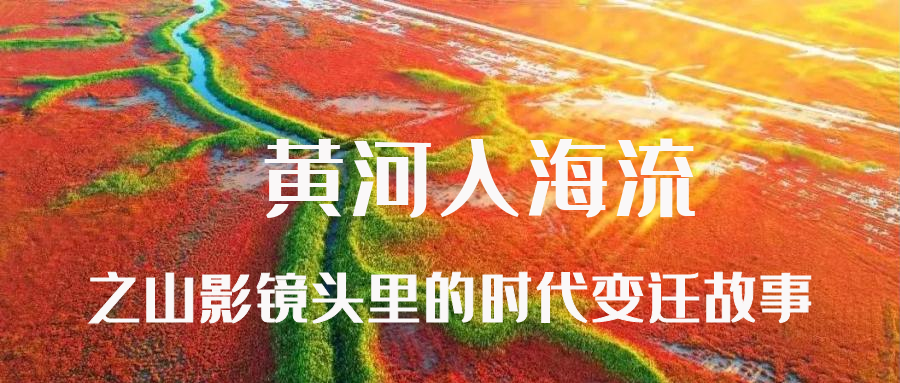 黄河入海流之大发彩票平台
镜头里的时代变迁故事