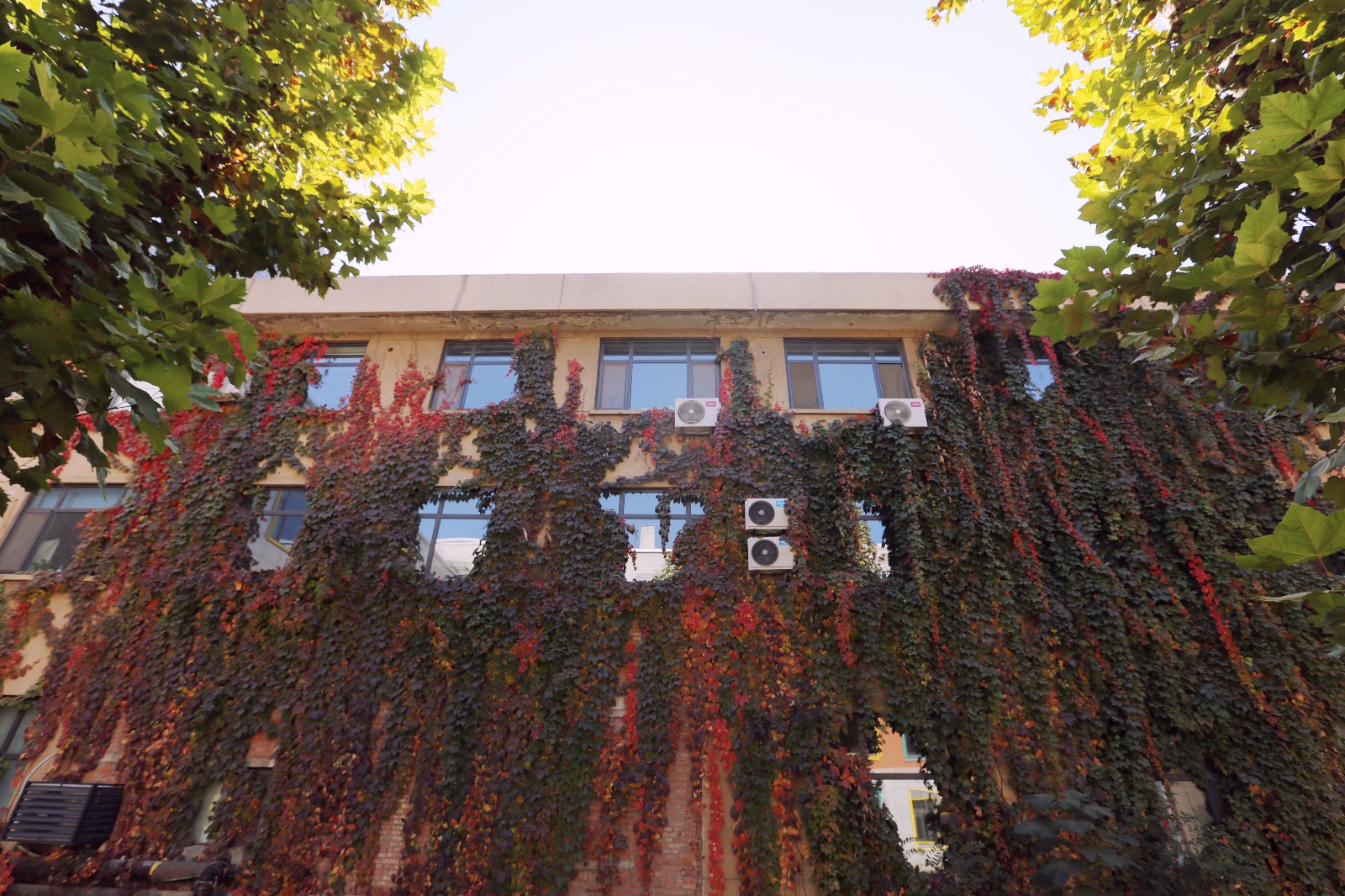 大发彩票平台
星工坊的秋色，与心中的美好不期而遇