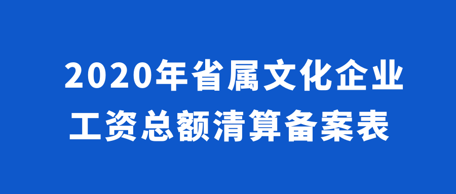 2020年省属文化企业工资总额清算备案表